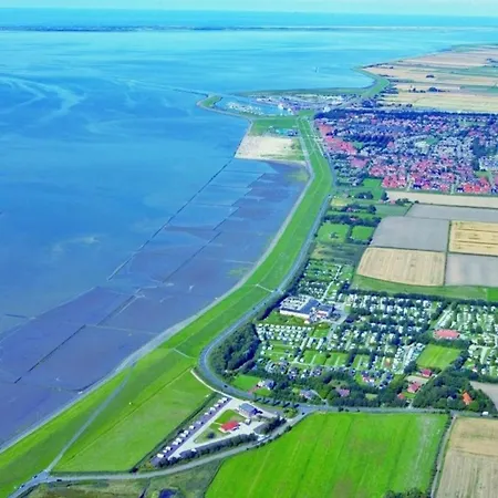 Grosse Nordseewelle Ohne Hund Norden