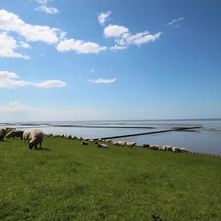Holiday home Grosse Nordseewelle Ohne Hund Norden
