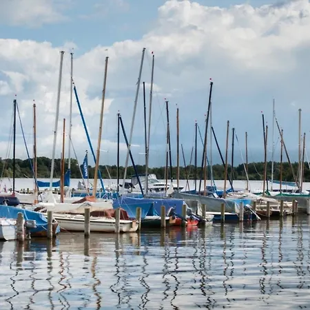 Grosse Nordseewelle Ohne Hund