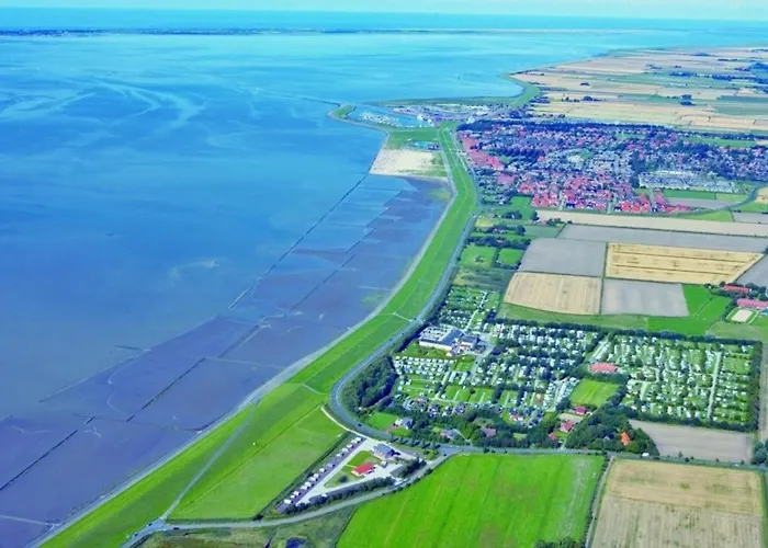 Grosse Nordseewelle Ohne Hund Norden