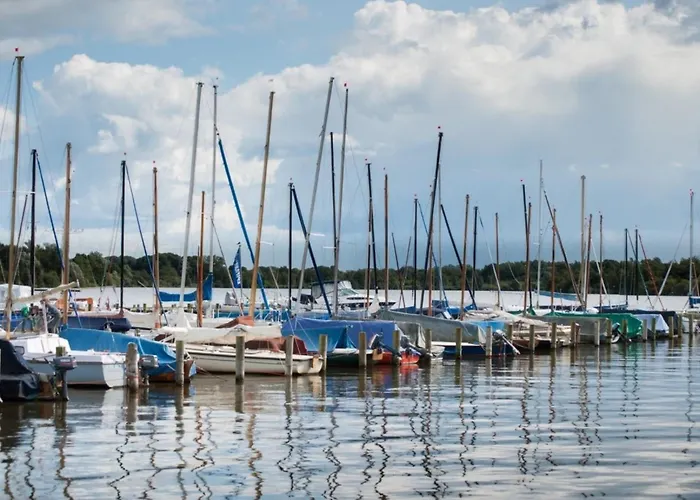 Grosse Nordseewelle Ohne Hund